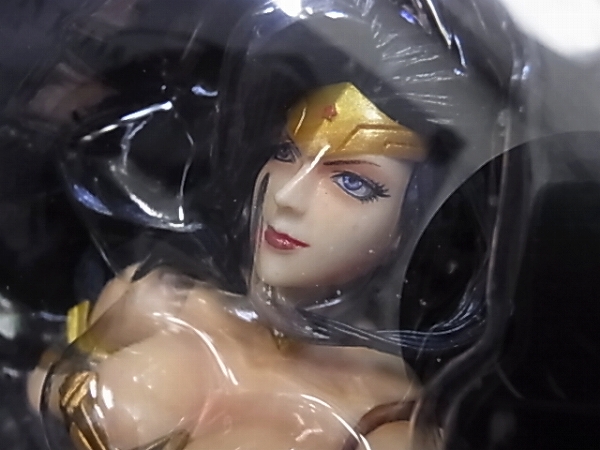 実際に弊社で買取させて頂いた[処分/2点]犬狼伝説 鷲尾翠/VARIANT PLAY ARTS改 Wonder Womanの画像 5枚目